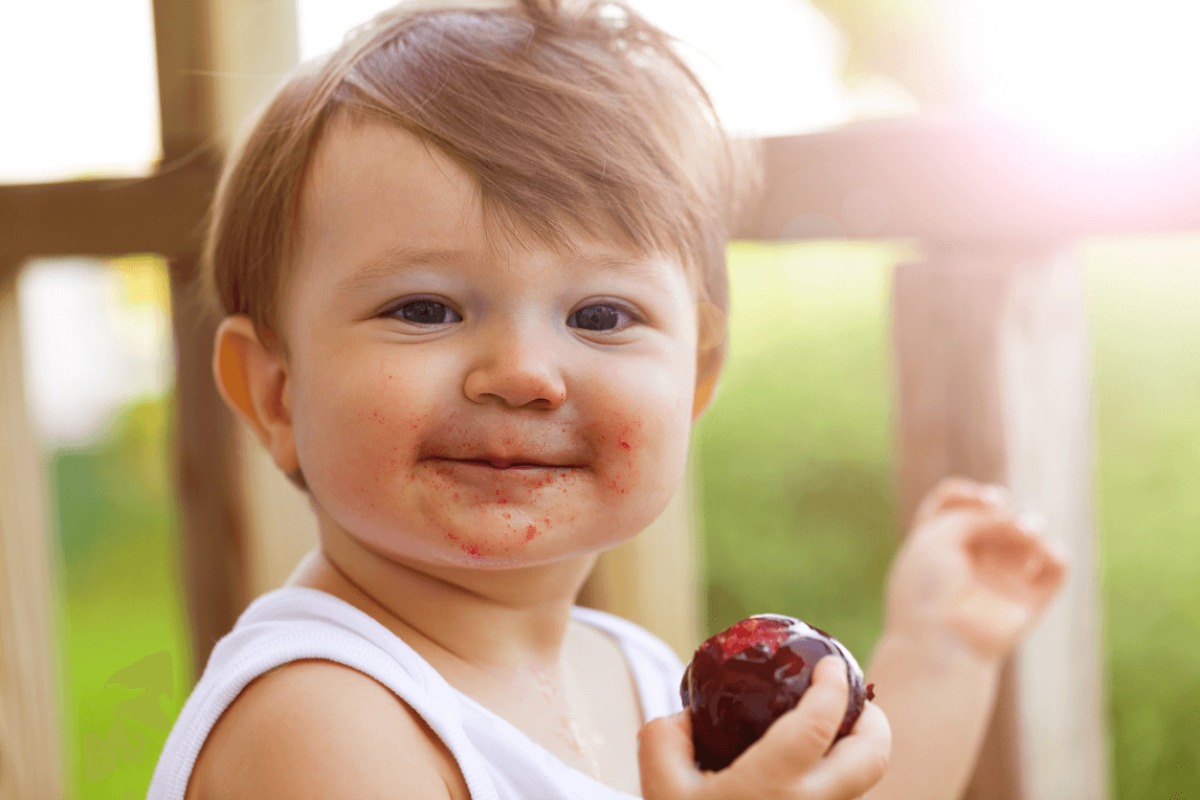 Emzirme İle Baby Led Weaning Arasındaki Bağ