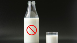 İnek Sütü Vermenin Zararları