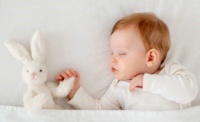 Uyku Arkadaşı Nedir? Nasıl Alıştırılır?