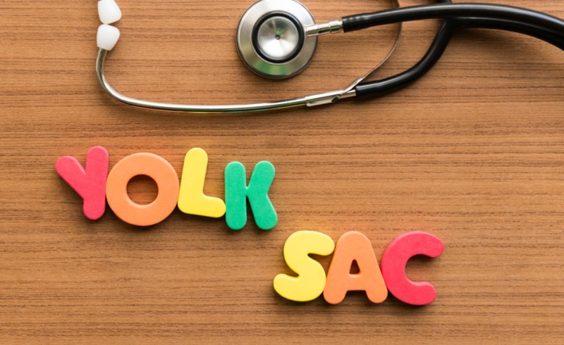 Yolk Kesesi Nedir? Yolk Kesesi Kaçıncı Haftada Görülür?
